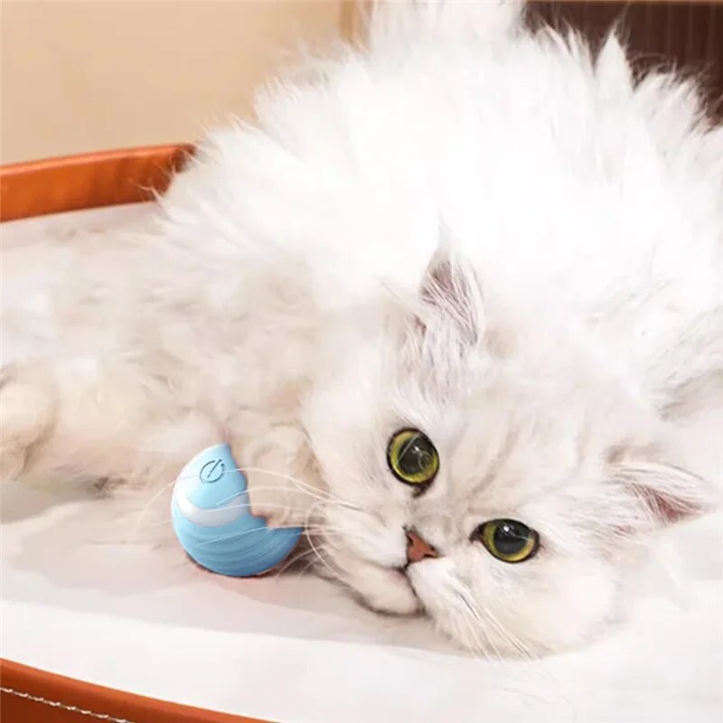 PlayPurr - The Interactive Cat Ball Toy for Endless Fun | 1+1 Free