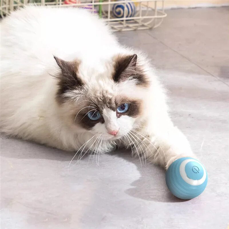 PlayPurr - The Interactive Cat Ball Toy for Endless Fun | 1+1 Free