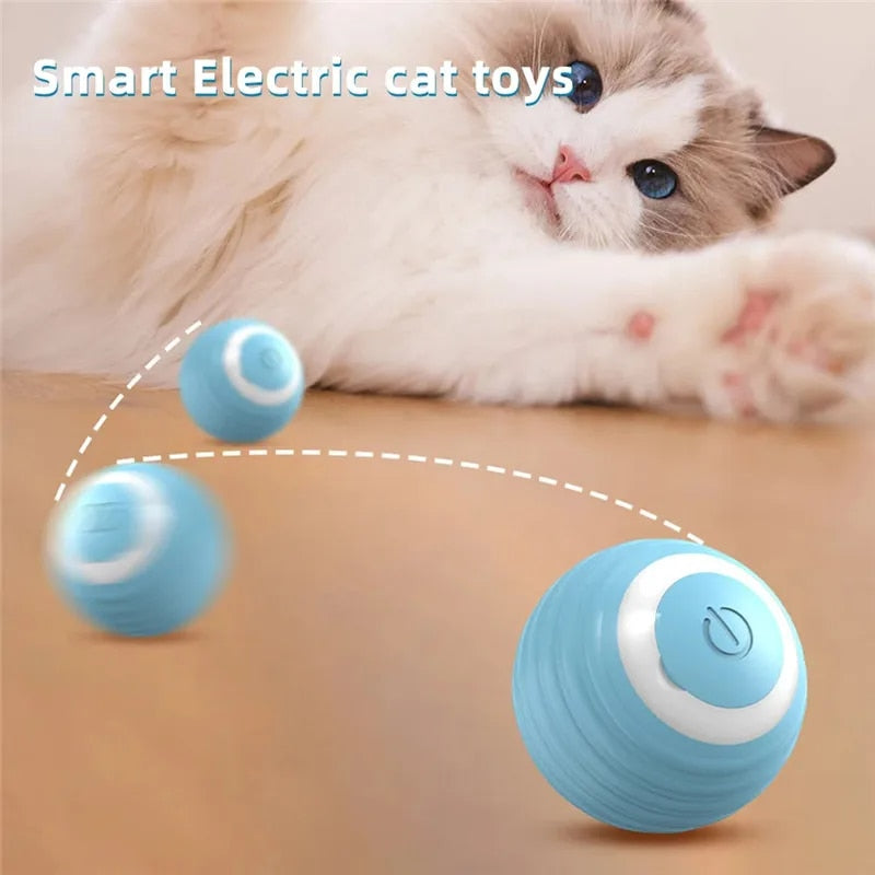 PlayPurr - The Interactive Cat Ball Toy for Endless Fun | 1+1 Free